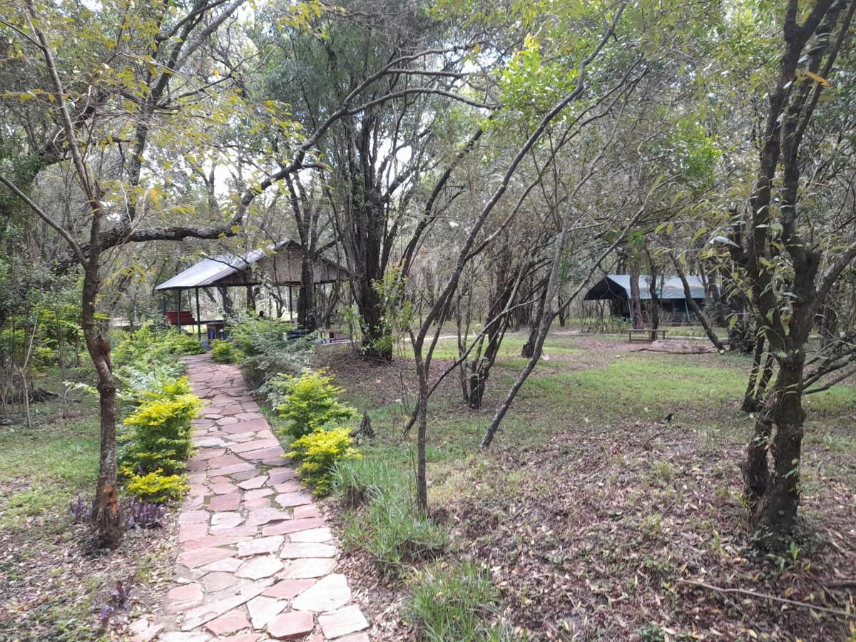 Hotel Leruk Maasai Mara Camp à Sekenani Extérieur photo